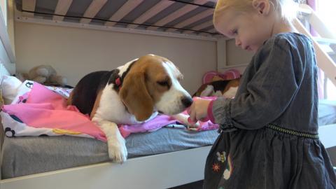 Sweet Baby Loves To Play Silly Games with Her Dogs