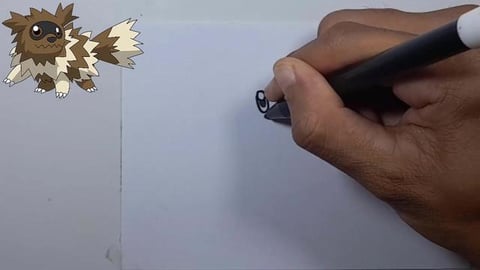 DRAW POKEMON ZIGZAGOON SHORTS