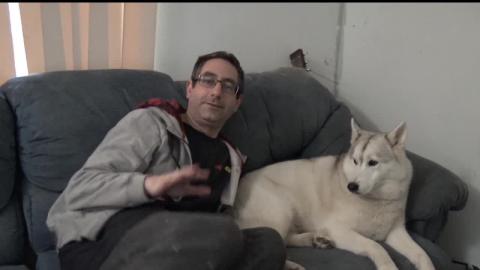 Cuddling my Husky girl, poor thing