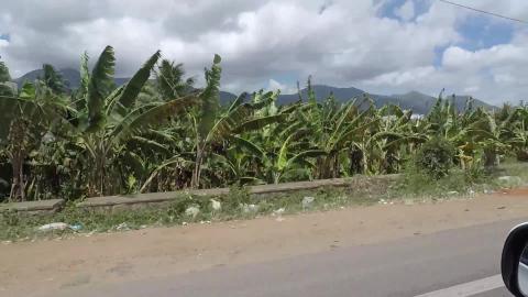Towards Nagercoil | Tamil Nadu