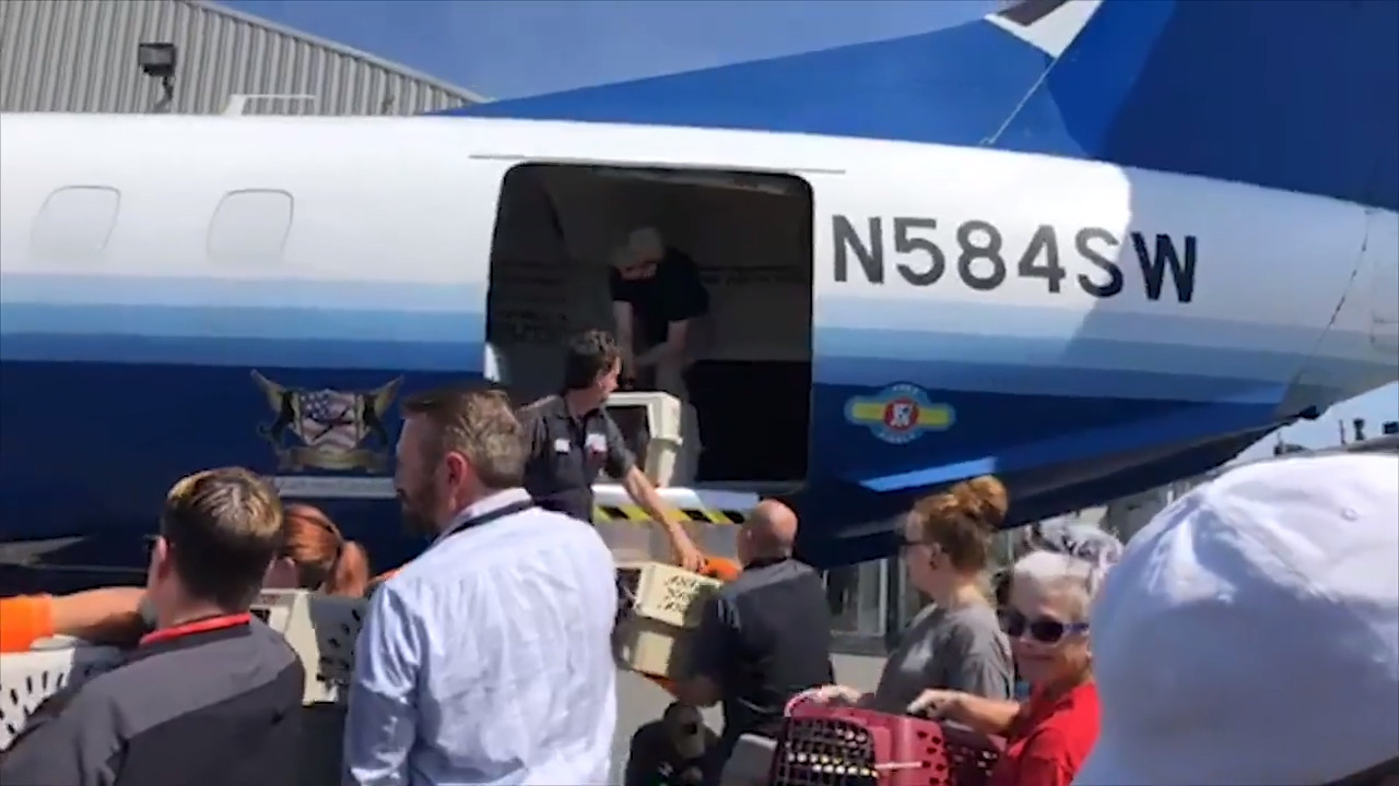 Hilton Head SC, Savannah airports plan for Hurricane Dorian Hilton