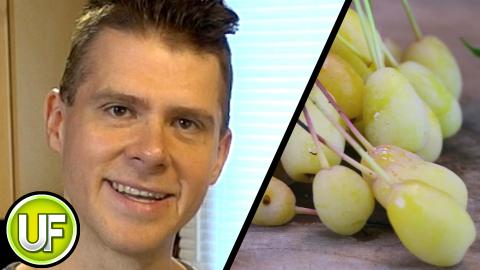 Unusual Foods - Pacific Crab Apple