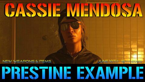 The Division 2: Cassie Mendoza Reset Weapons & Items + (S...