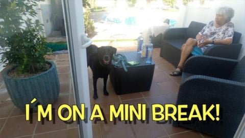 Percy visits Chiclana de la Frontera