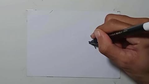 Drawing Tatto Tribal V8 Shorts