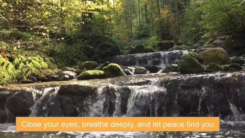 5 Minutes of Relaxing Sleep Music Fall Down 2026 UHD