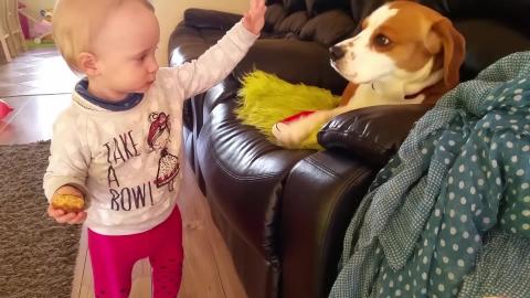 Baby Does High Five With Charlie the Dog