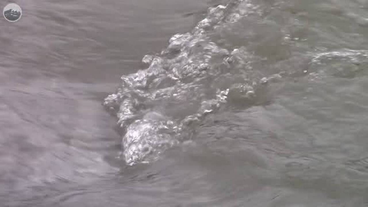 Will Nooksack River reach flood stage? Belleville NewsDemocrat