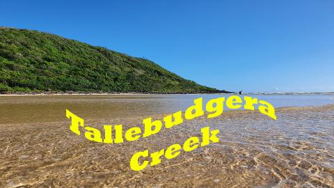 Visit to Tallebudgera Creek. One of the best places to sw...