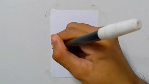 Draw tatto v50 2024 shorts