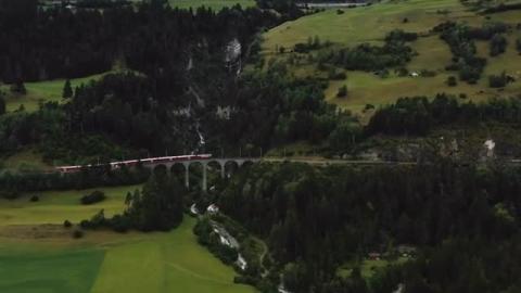 Relaxing music, forest ambience, amazing videos 2025