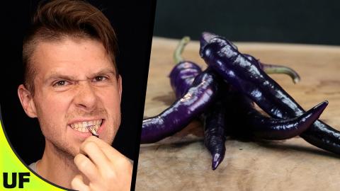 Extremely Rare Hot Pepper! Buena Mulata Hot Pepper | Unus...