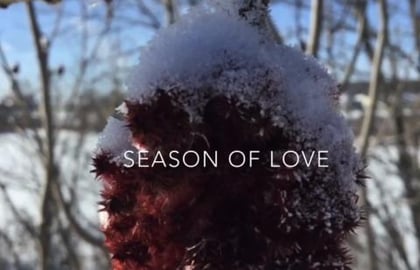 A Magical Winter day in the Far North. 