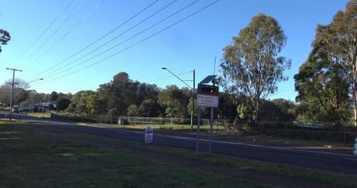 Huskies walk in the park and catch up with Goldie friends...