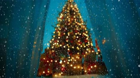 Spectacular Christmas Trees / 1 Minute Video on a Jazzy C...