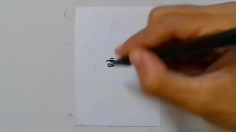 Draw tatto v56 2024 shorts