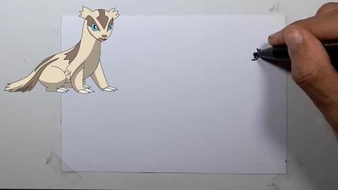 Drawing Pokemon LINOONE shorts
