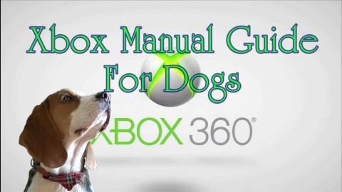 Teaching  Funny Dogs How to Use XBOX 
