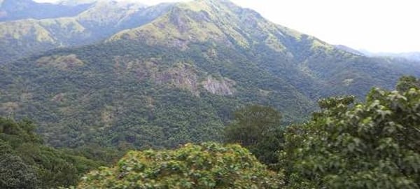 Train Ride Through Western Ghats | Vistadome Travel