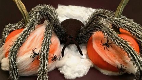 Pumpkins and Spiders / Quick & Easy Halloween Decoration