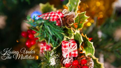 Kissing Under The Mistletoe