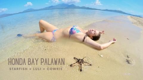 Starfish Island, Cowrie Island, Luli Island - Honda Bay P...