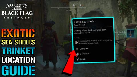 Assassins Creed_ Black Flag Resynced _Exotic Sea Shells_ ...