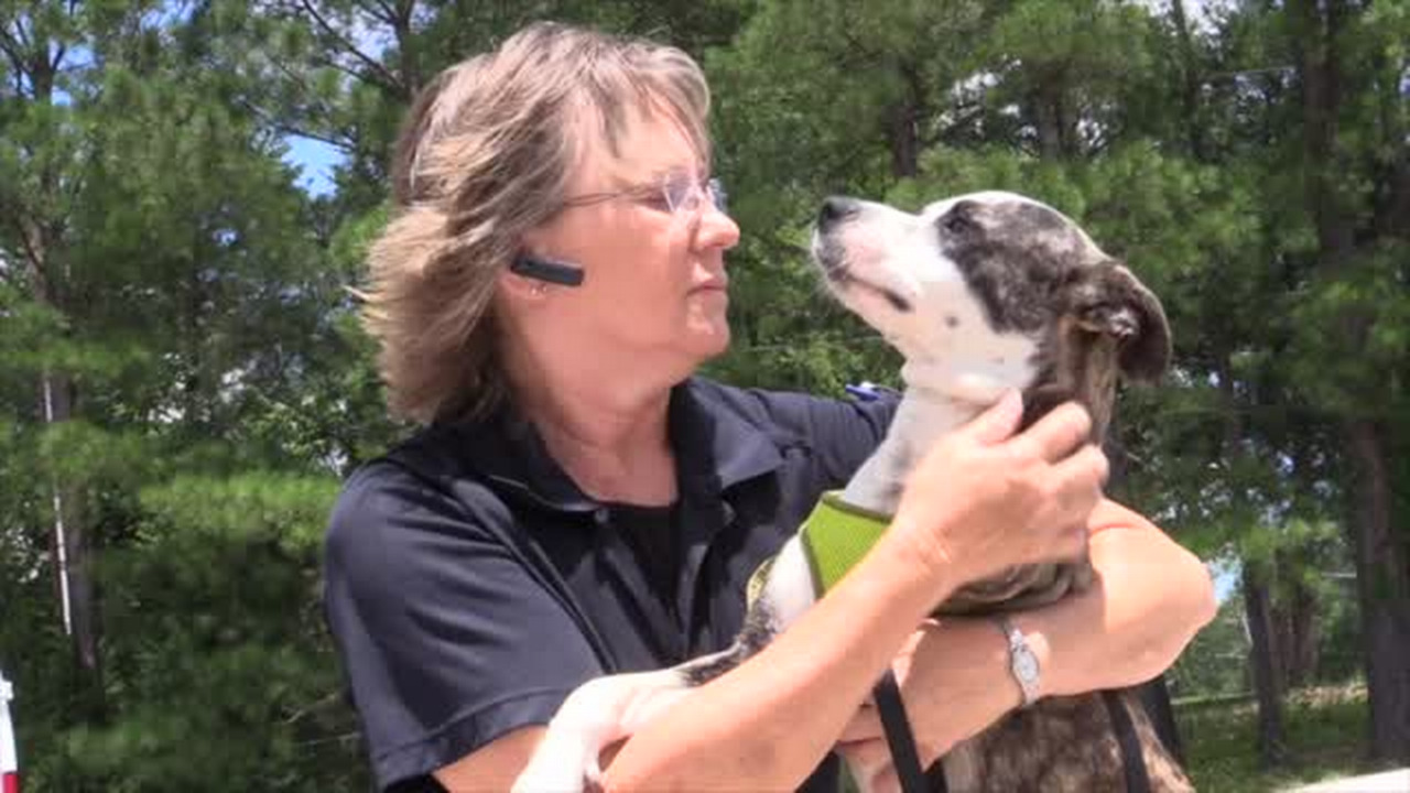Chester animal shelter needs upgrades or expansion, workers say