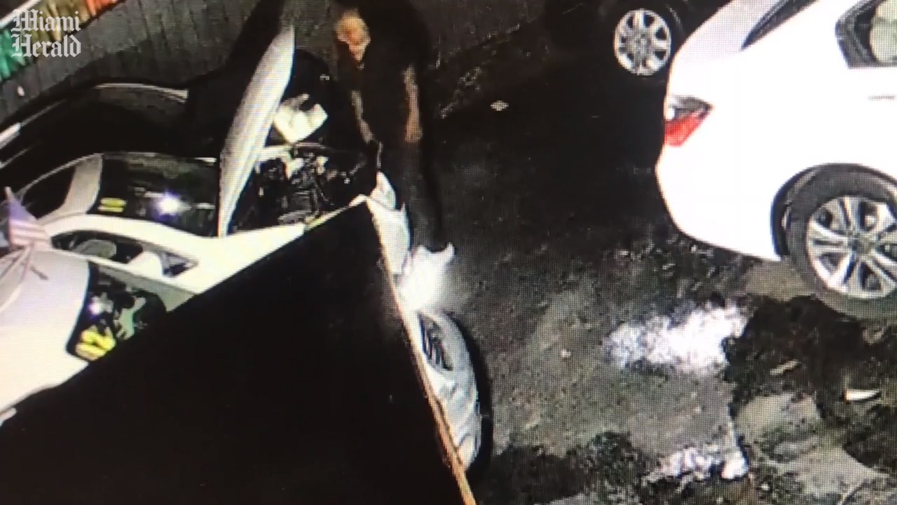 Miami Police search for vehicle burglar | Miami Herald