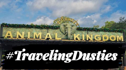 #TravelingDusties | Disney's Animal Kingdom Theme Park | ...