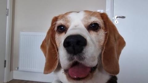 When you want to sleep a little bit longer, but you have ...