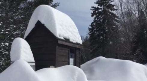Winter in Algonquin Park Canada 