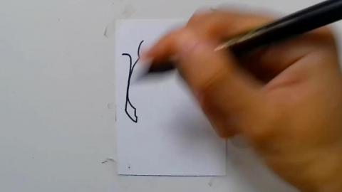 Drawing tatto v43 2024 shorts