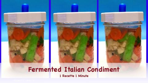 Fermented Italian Condiment (Giardiniera) - shorts