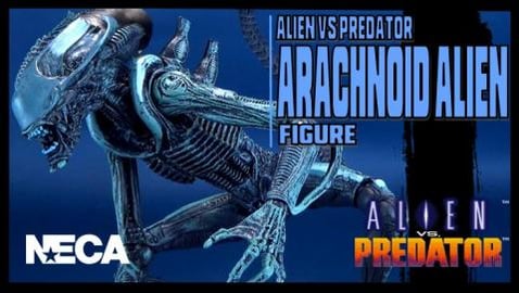 Arachnoid Alien