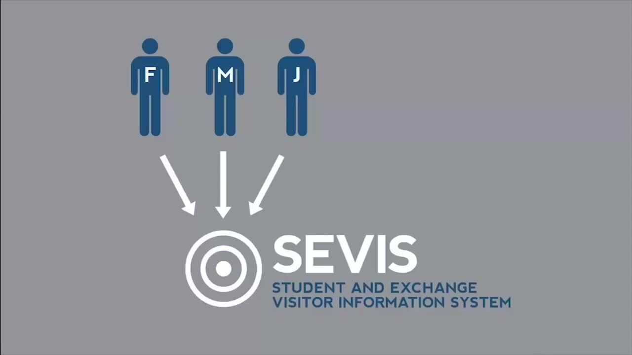 what-is-the-student-and-exchange-visitor-program-sevp-charlotte