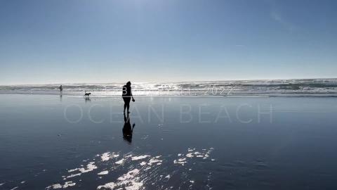 Lunch Break | Ocean Beach | February 11, 2022