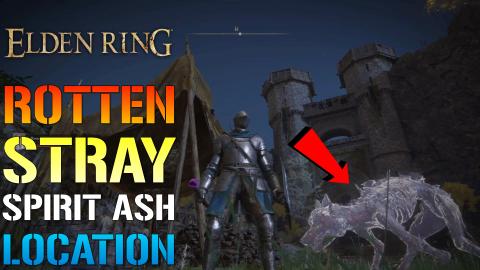 Elden Ring: Rotten Stray Spirit Ashes! How To Get It (Loc...