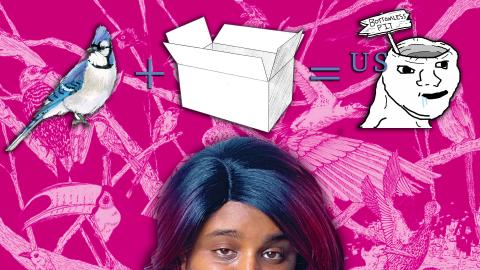 Remember When We Saw #BirdBox & Thought They Were Dumb Fo...