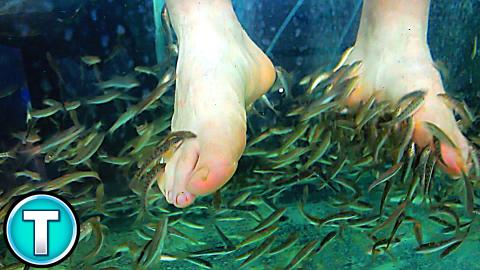 The Fish Pedicure