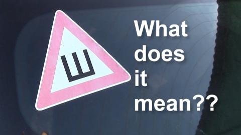 What does the '' sign mean in your rear window_ Russian D...
