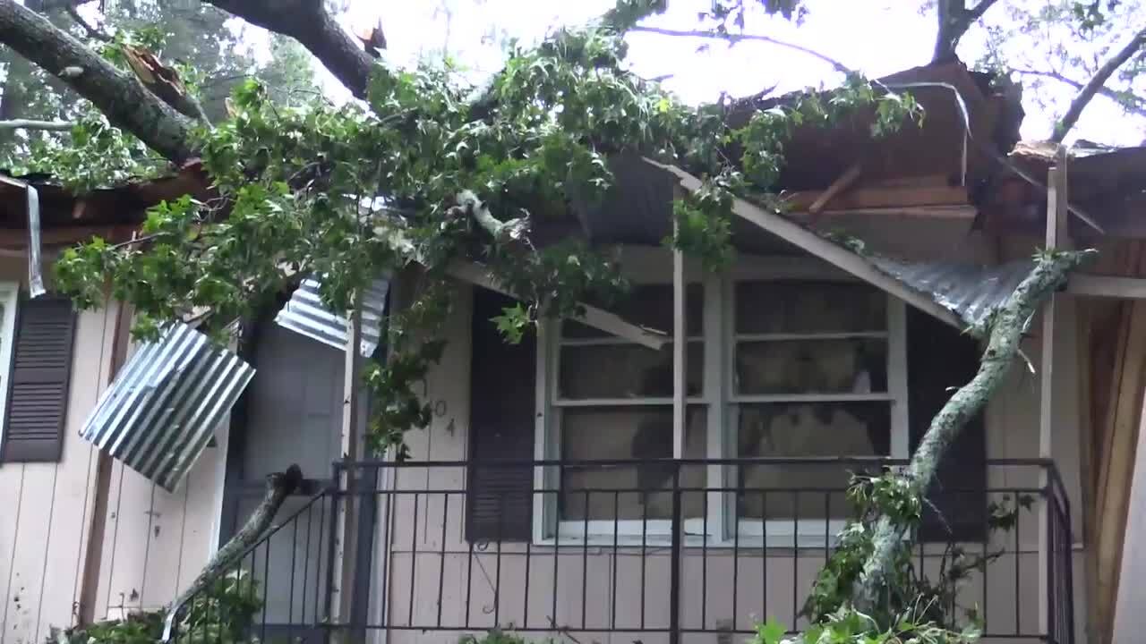 Hurricane Michael Brings High Winds To Columbia Sc Toppling Trees On House The State