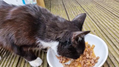 Bella having some snack
