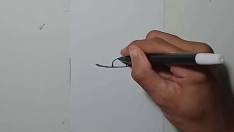 DRAWING GRAFITY DONUT AND CASH