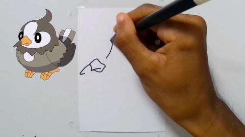 Draw Pokemon starly shorts