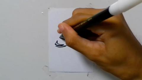 Draw tatto v53 2024 shorts