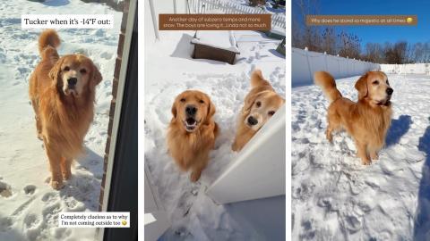 We Had an Arctic Freeze...Then This Happened!