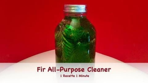 Fir All-Purpose Cleaner / Recycle your Christmas Tree (sh...