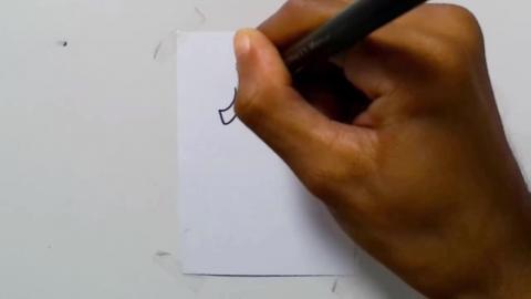 Drawing tatto v164 2024 shorts