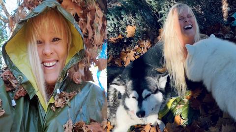 Hide And Seek With My Malamute & Husky | I Get Cuddles Wh...